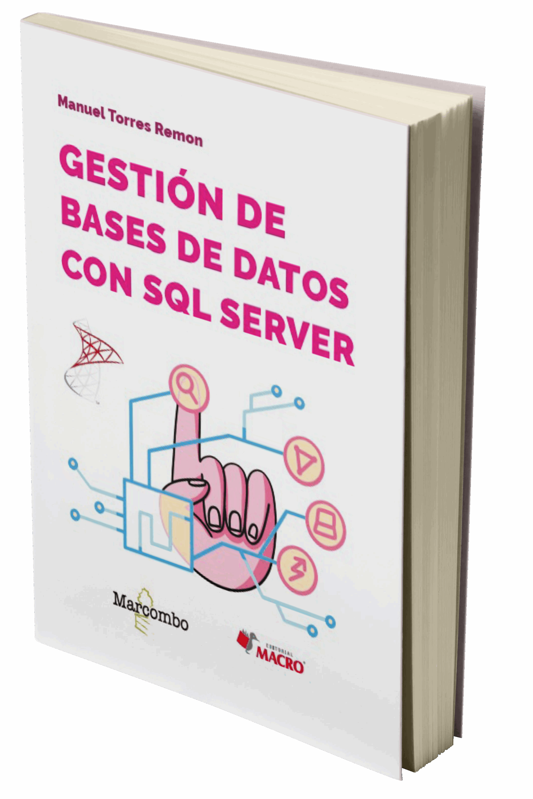 Inicio 23 gestion de bases de datos scaled