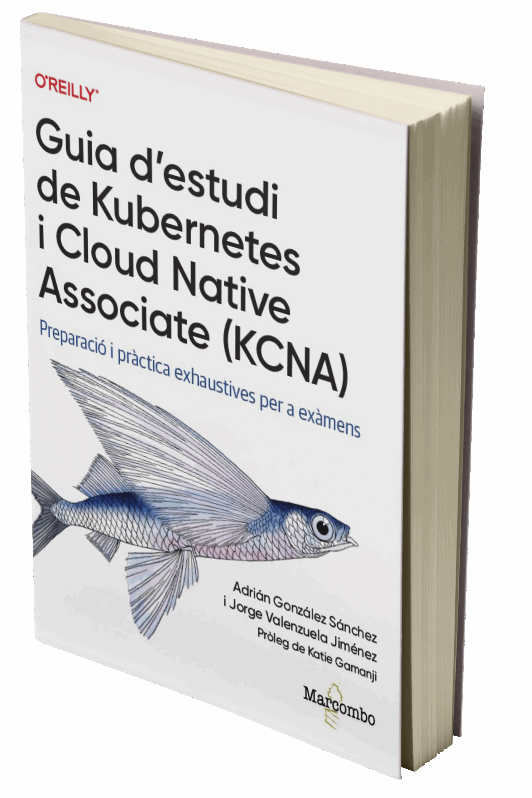 Inicio 29 guia de estudi de kubernetes scaled