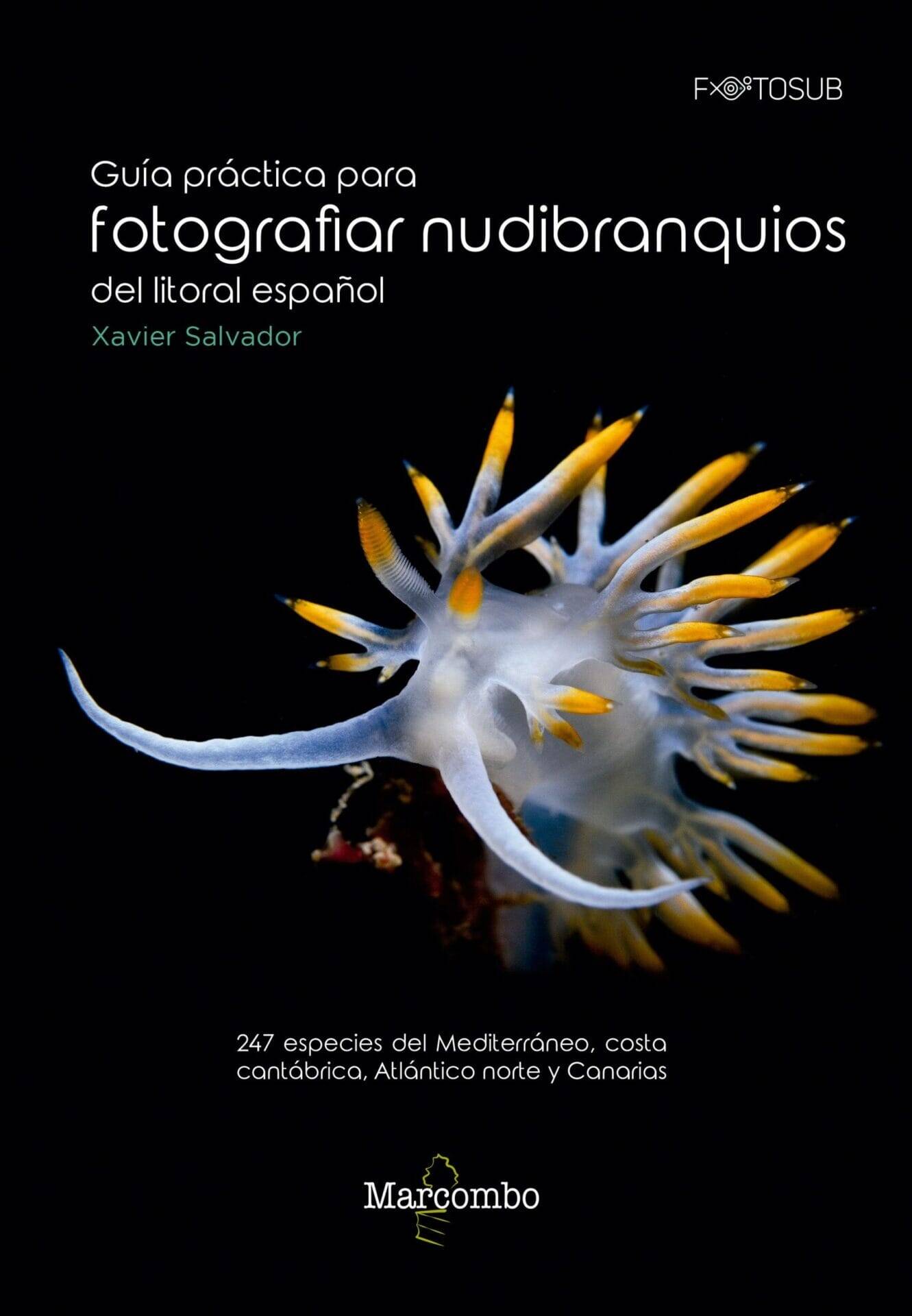 Guía práctica para fotografiar nudibranquios del litoral español Guía práctica para fotografiar nudibranquios del litoral español