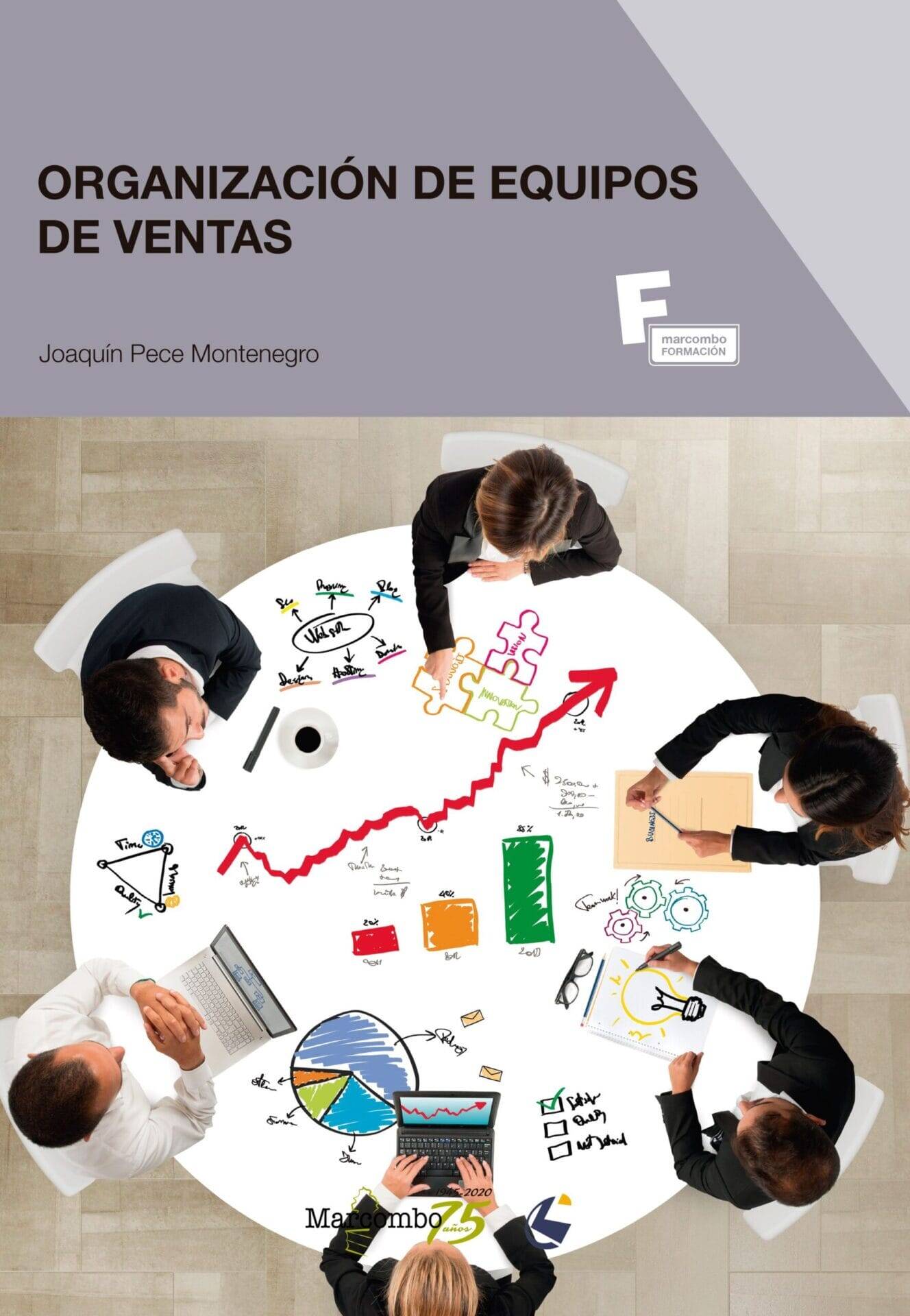 Organización de Equipos de Ventas Organización de Equipos de Ventas