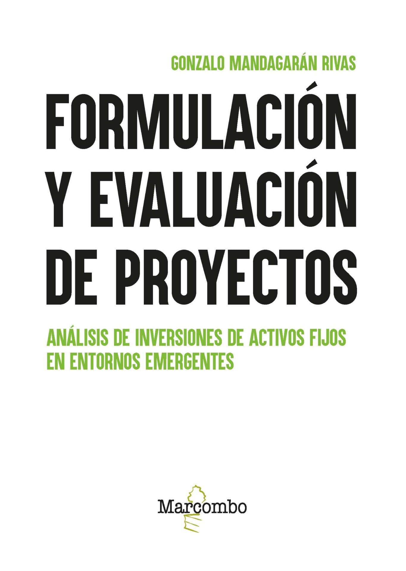 Formulación y evaluación de proyectos Formulación y evaluación de proyectos