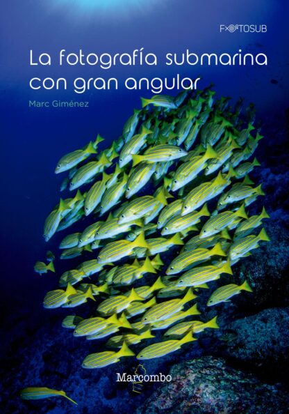 La fotografía submarina con gran angular