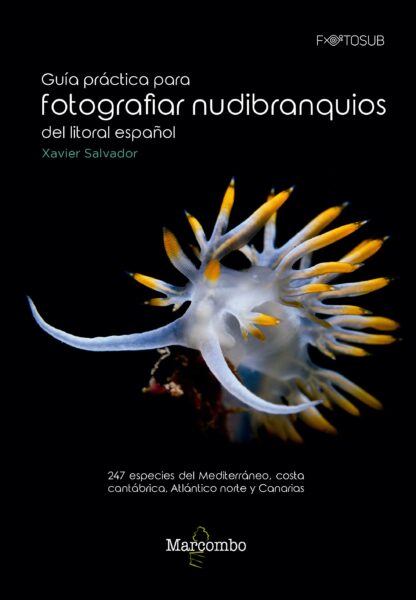 Guía práctica para fotografiar nudibranquios del litoral español