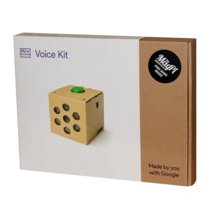 Google Voice Kit