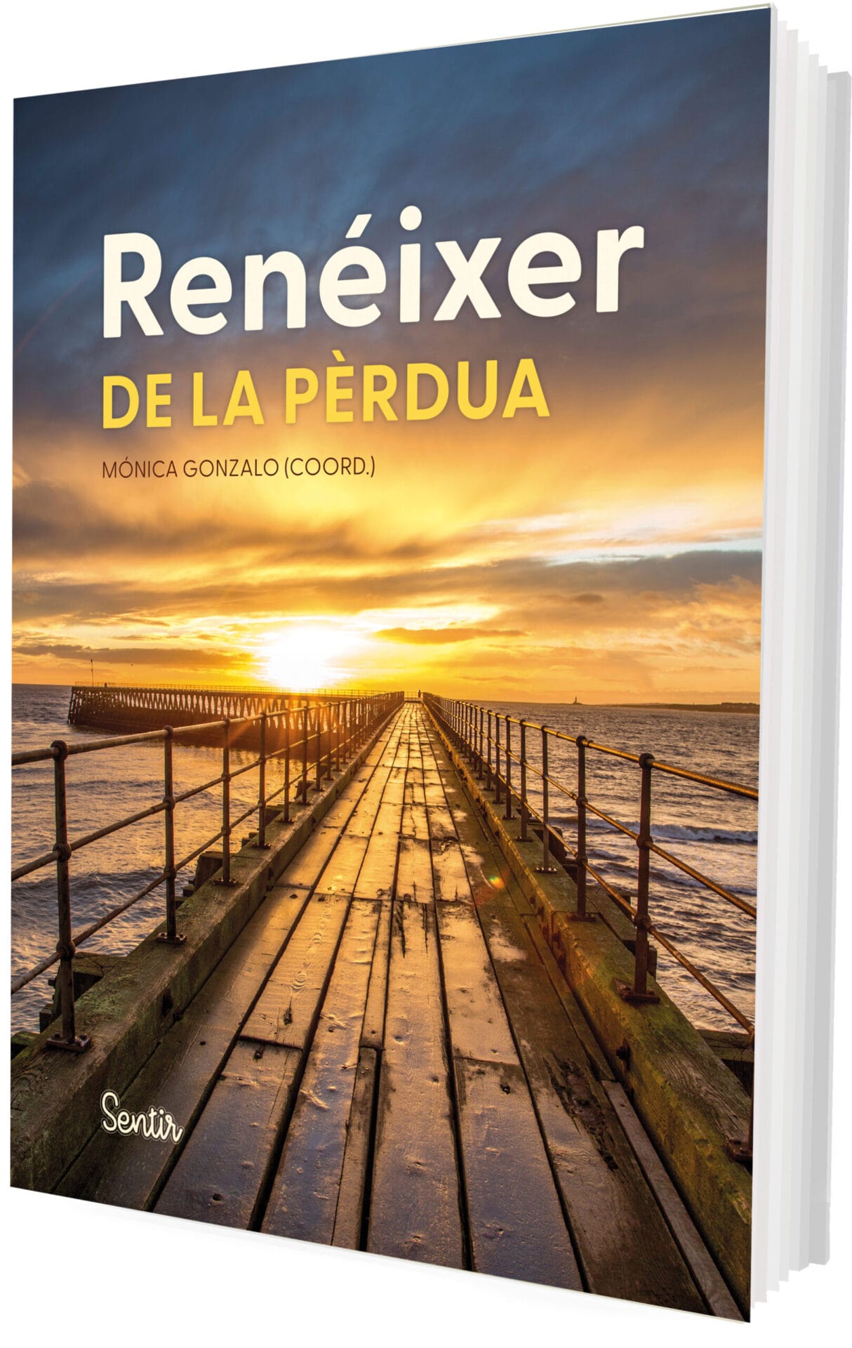 Renéixer de la pèrdua Renéixer de la pèrdua