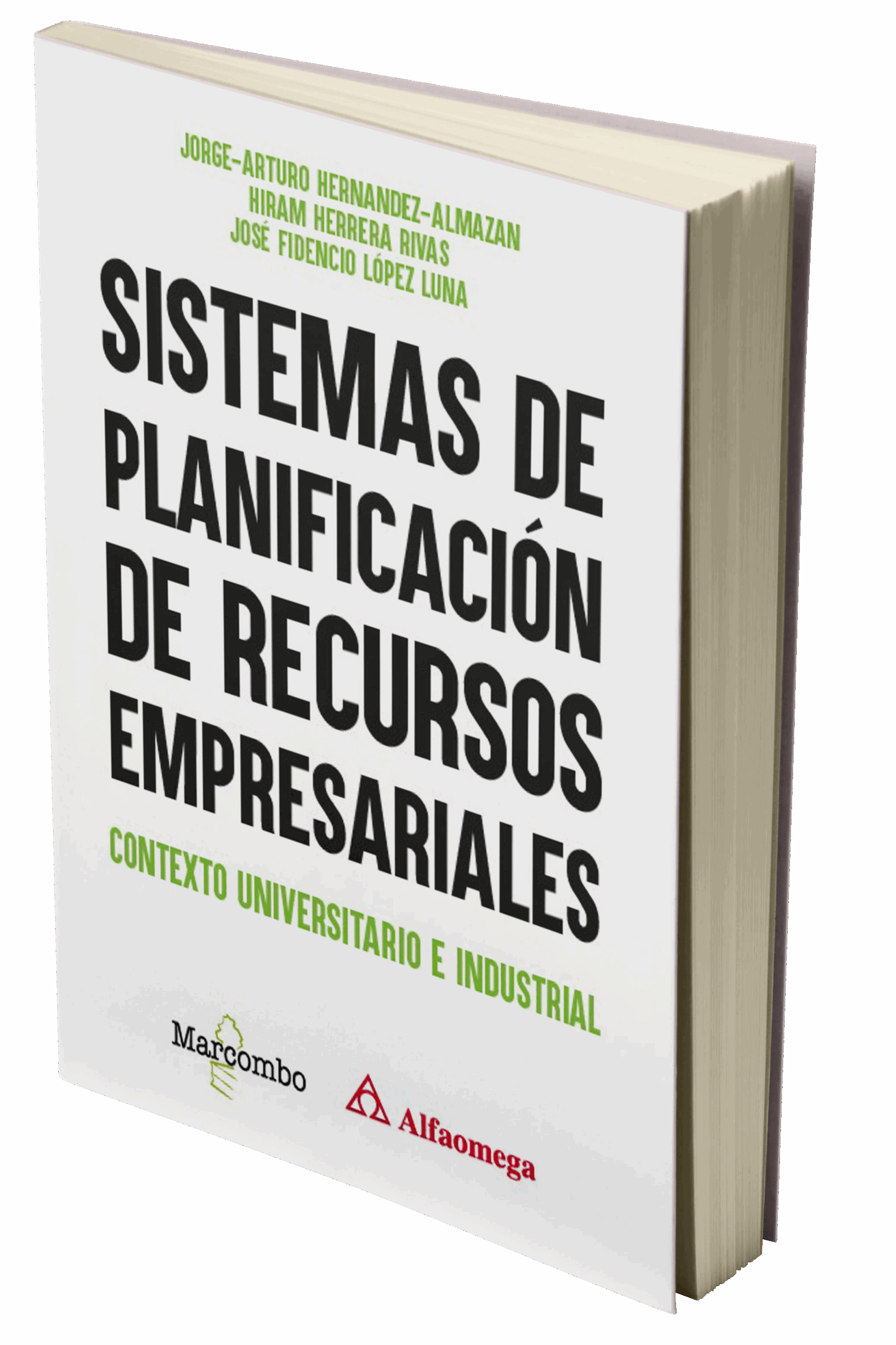 sistemas de planificacion de recursos empresariales scaled