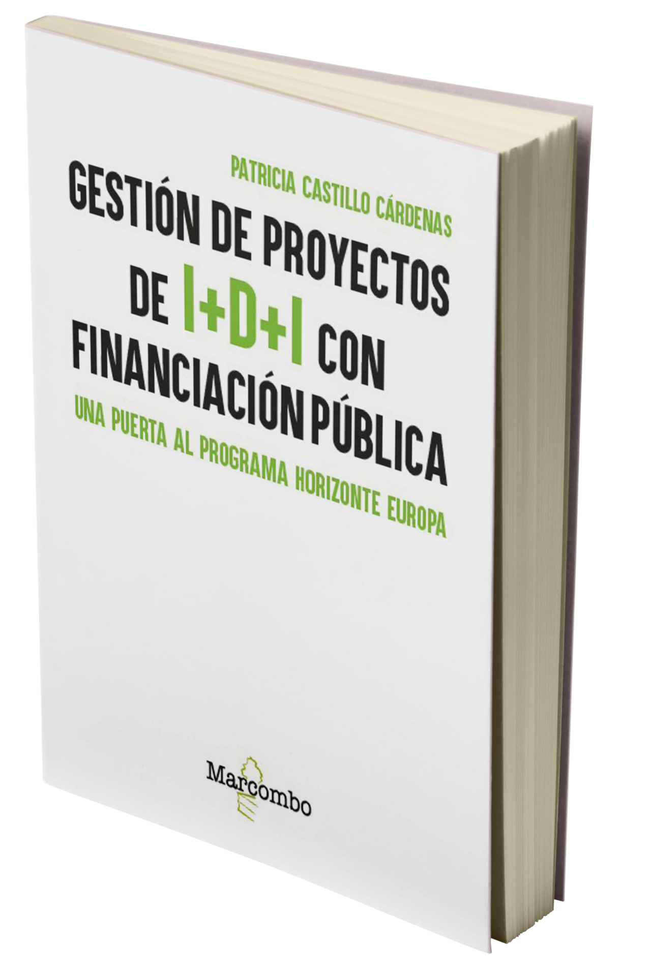 GESTION DE PROYECTOS IDI
